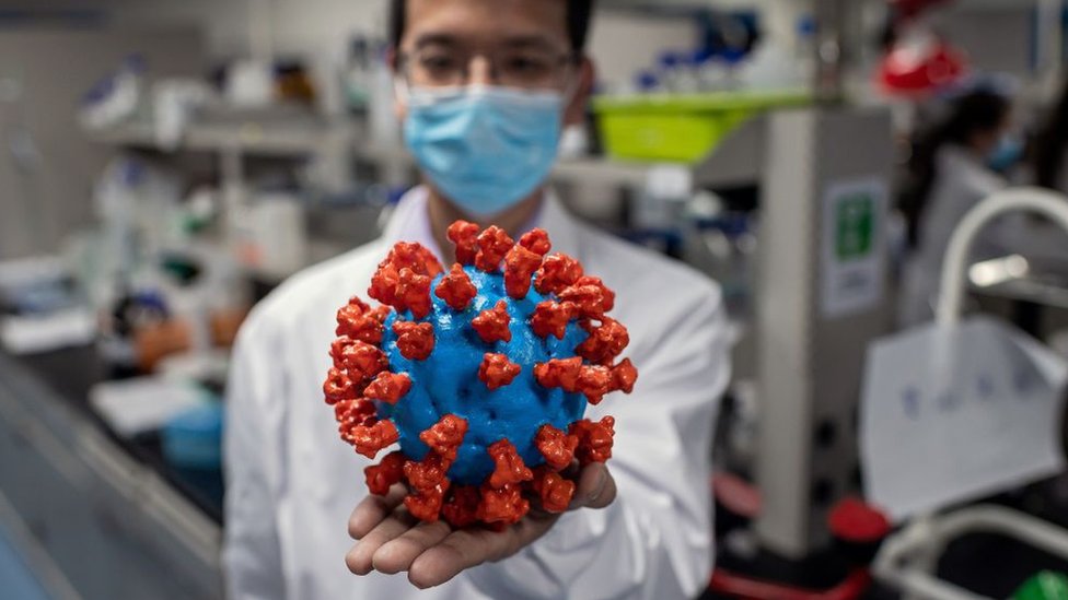 Scientist holding a model of the virus