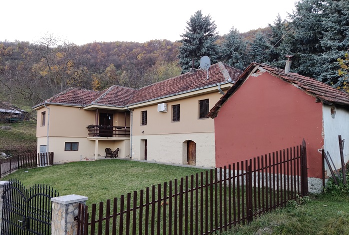 vidova