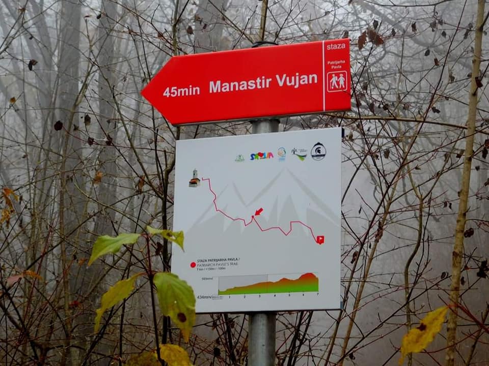 vujan2