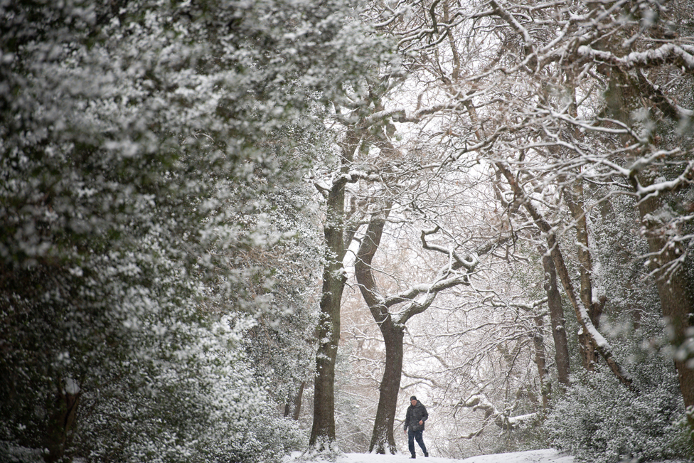 Snow falls as people walk in Sutton Park in Birmingham, on 9 February 2021