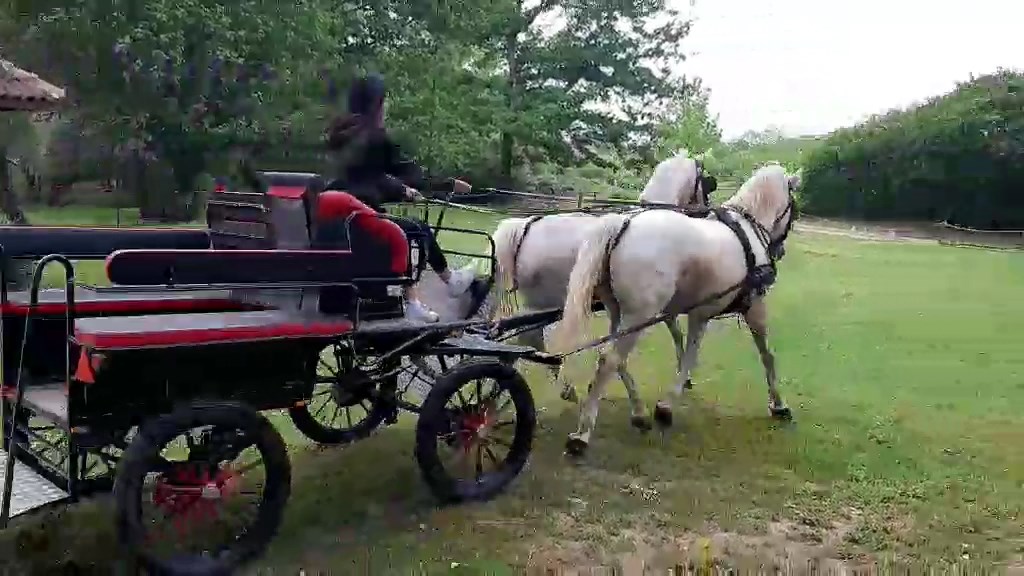 KONJI2