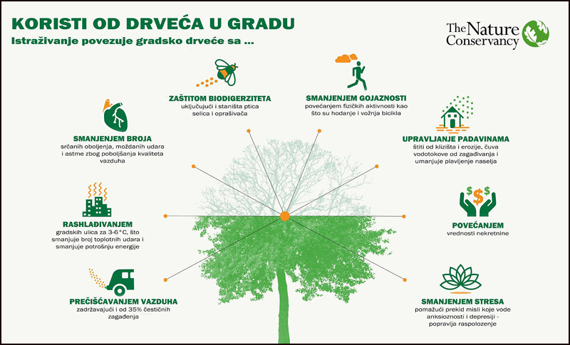 Koristi drveca u gradu 1