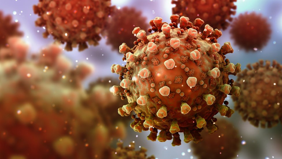 Korona virus: Šta ako niste razvili antitela posle vakcine - ima nešto što vas štiti 1 Coronavirus