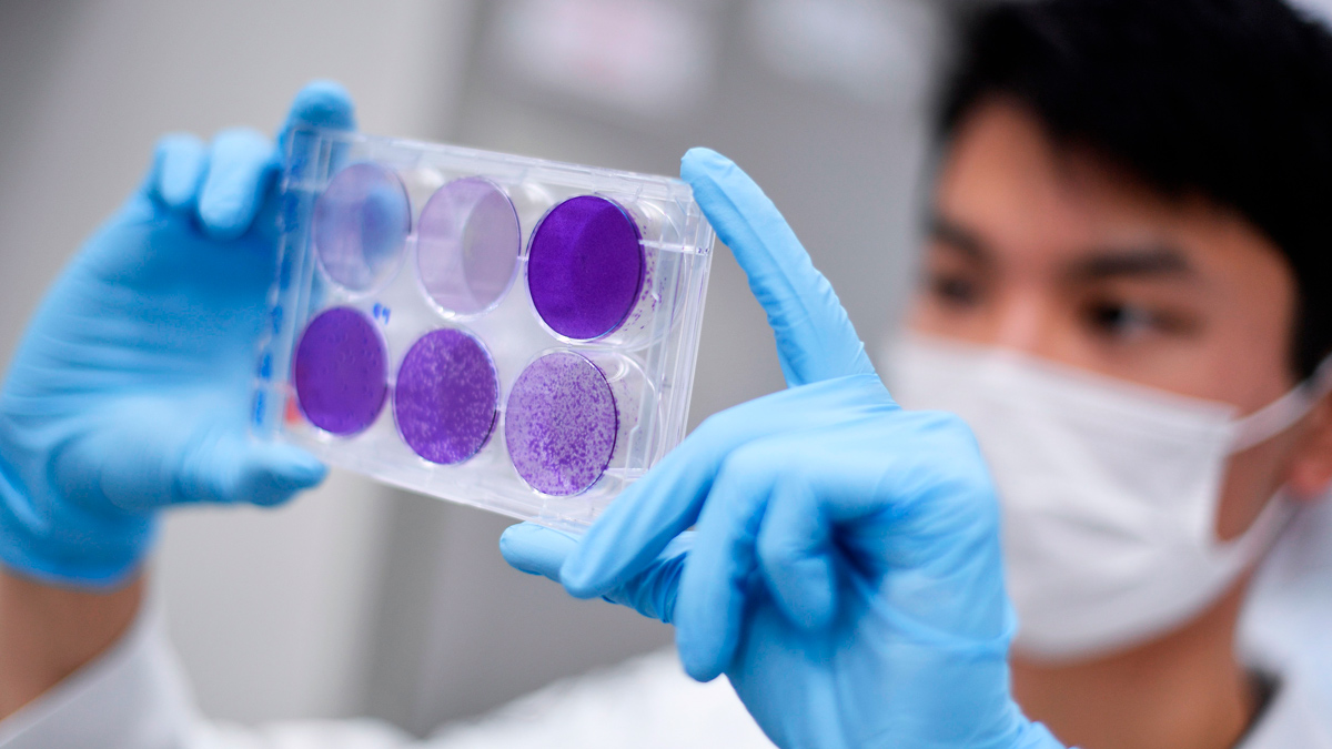 Korona virus: Šta ako niste razvili antitela posle vakcine - ima nešto što vas štiti 2 A researcher works on virus replication in order to develop a vaccine against the coronavirus