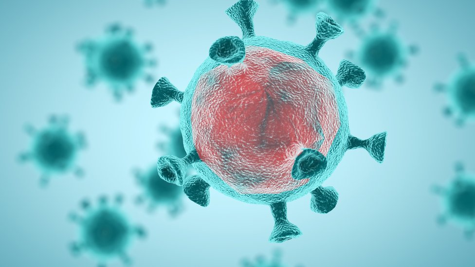 Korona virus: Osam stvari koje smo naučili u protekloj godini pandemije 1 SARS-CoV-2