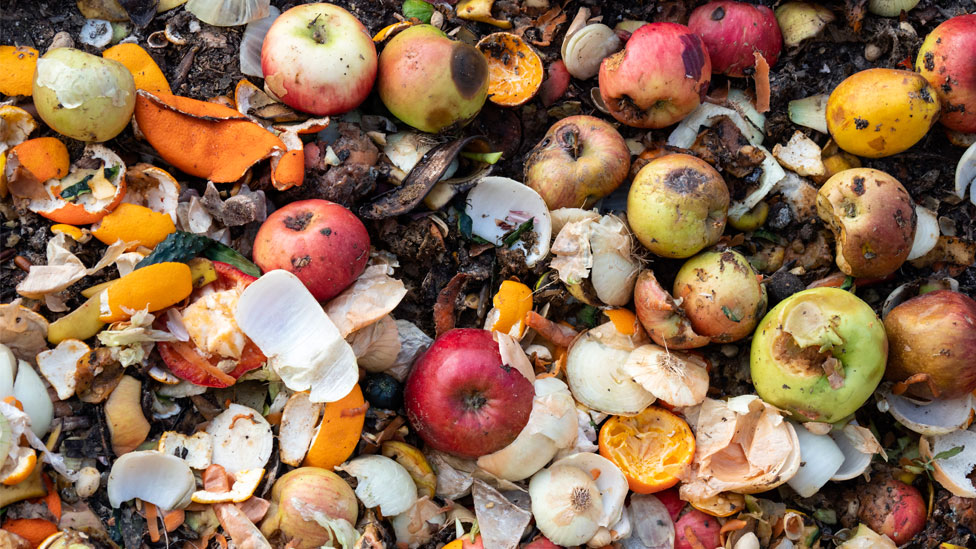 Korona virus i bacanje hrane: Više od 900 miliona tona hrane se baci svake godine 1 Food waste