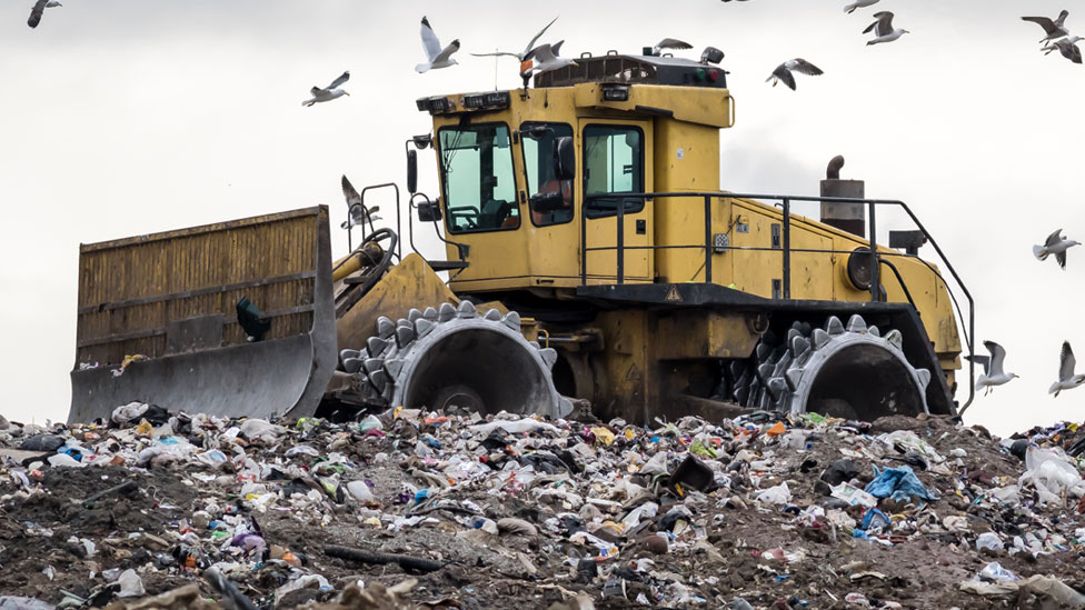 Korona virus i bacanje hrane: Više od 900 miliona tona hrane se baci svake godine 2 Landfill