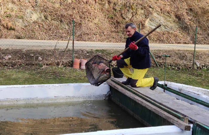ribnjak