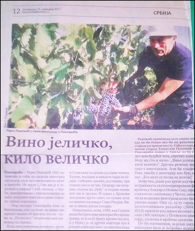Rajkovo vino