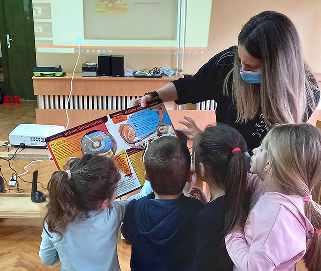 biblioteka slika2