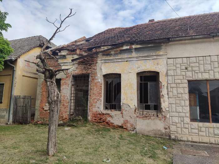 Sergej Trifunović: Nadam se da ćemo obnoviti Disovu kuću 1 disova kuca