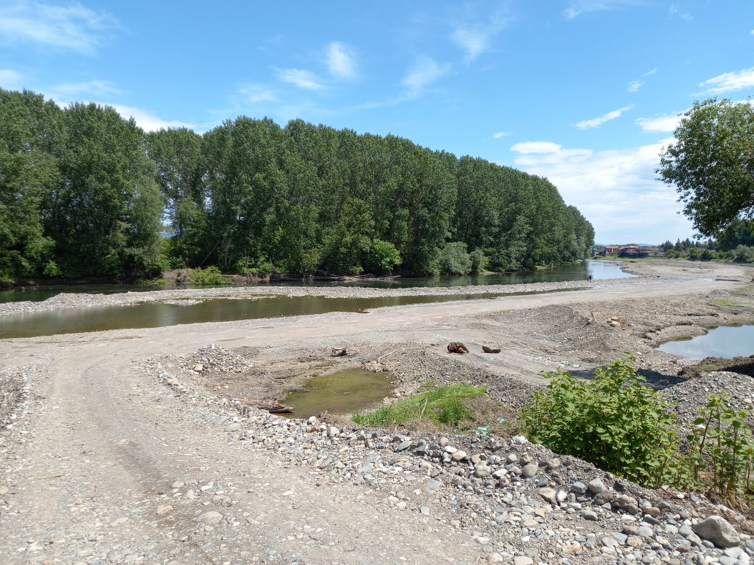 sljunak