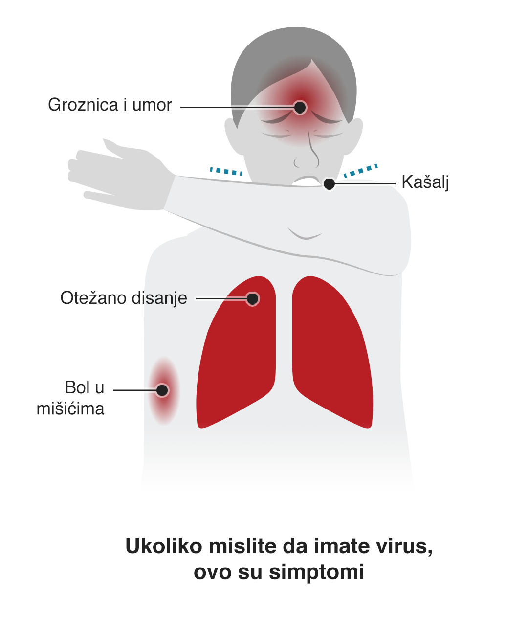 Korona virus: U Srbiji ugostitelji rade do ponoći, u Peruu novi podaci pokazuju da je broj preminulih znatno veći nego što se mislilo 2 grafika