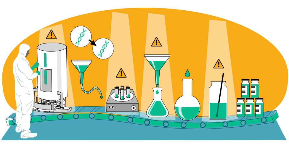 Illustration of the vaccine manufacturing process