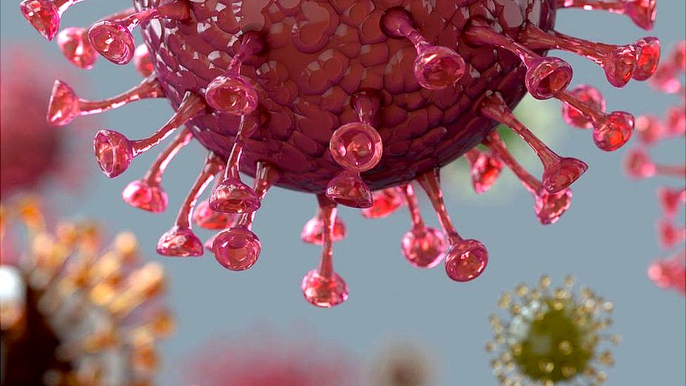 Korona virus: U Srbiji novi pozivi mladima da se imunizuju, u Izraelu treća doza Fajzer vakcine najranjivijima 6 Plastic models of Covid virus