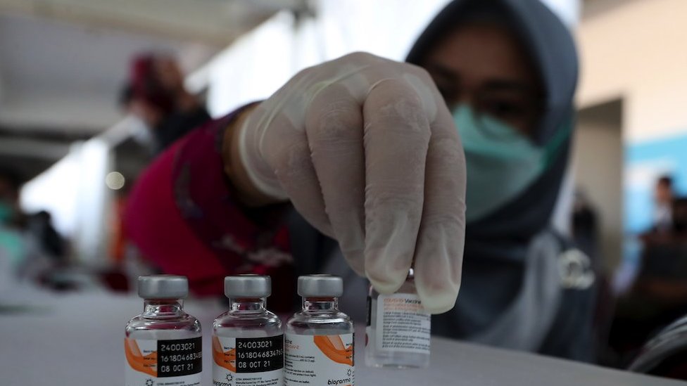 Korona virus i kineske vakcine: Sinovak i Sinofarm - koliko su delotvorni 2 An Indonesian health worker shows vials containing the Sinovac COVID-19 vaccine made by Biofarma during a COVID-19 vaccination drive at Pakansari Stadium in Bogor, West Java, Indonesia, 22 June 2021.