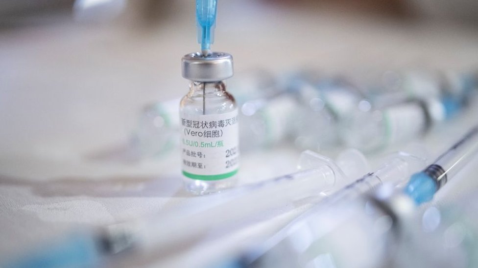 Korona virus i kineske vakcine: Sinovak i Sinofarm - koliko su delotvorni 4 Doses of the Chinese Sinopharm vaccine against the coronavirus disease (COVID-19) on display in Kragujevac, Serbia, May 4, 2021.