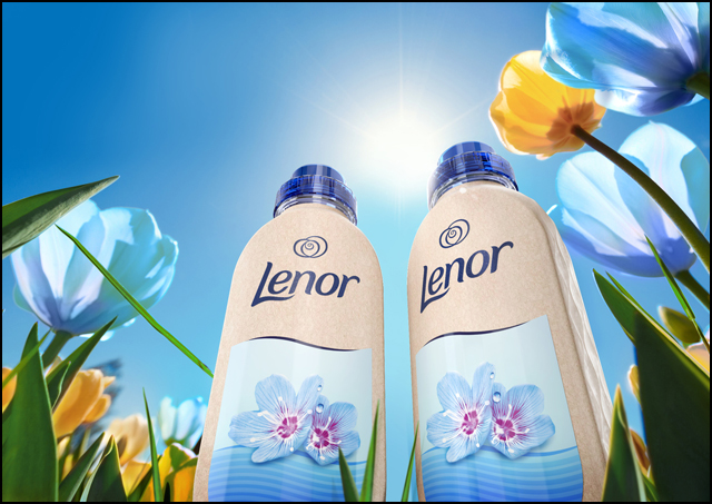 Lenor paboco perspective