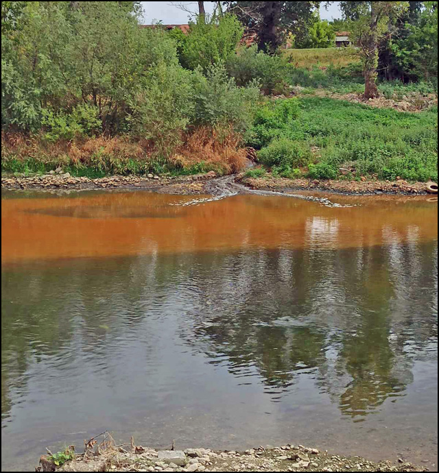 Morava fekalije 2