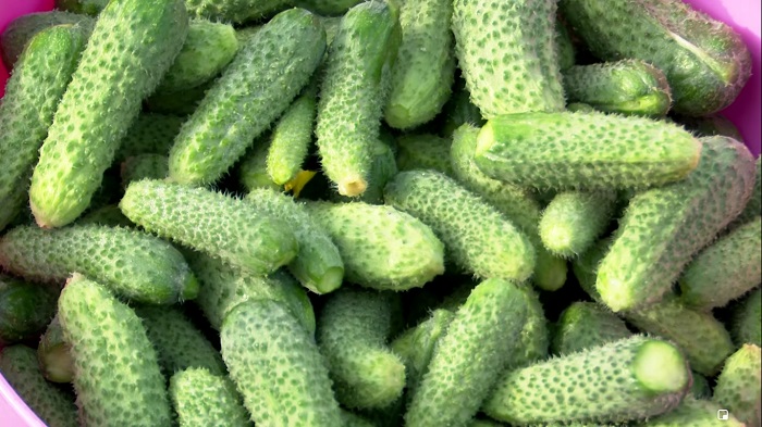 kornisoni