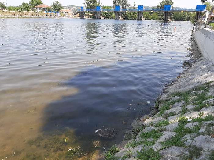Mrtva riba na gradskom kupalištu 3 riba1