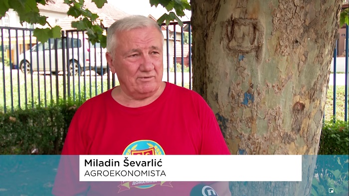 sevarlic