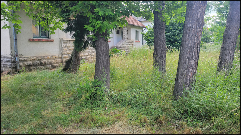 sumarsko gazdinstvo guca 3