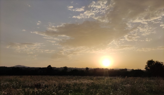 sunce