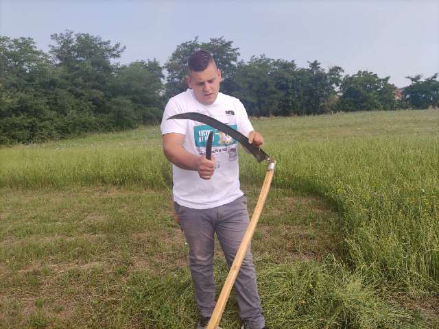 vuk rajac