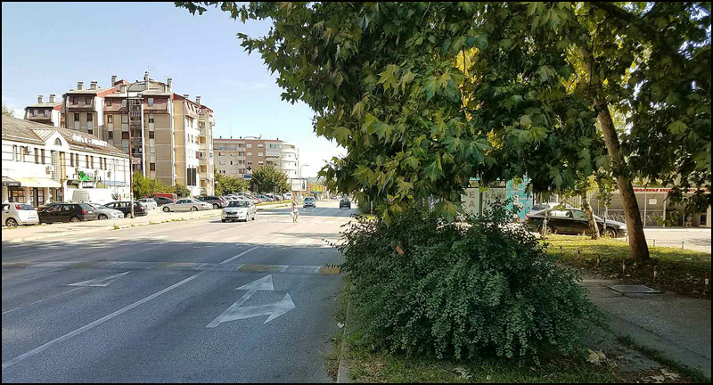 bulevar zelenilo 1