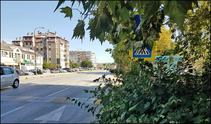 bulevar zelenilo 2