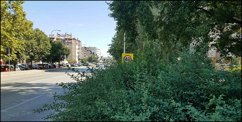 bulevar zelenilo 8