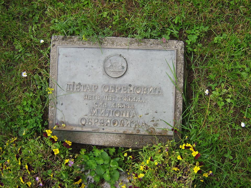 nikolje