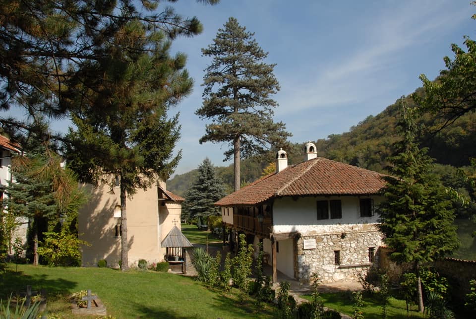 nikolje1
