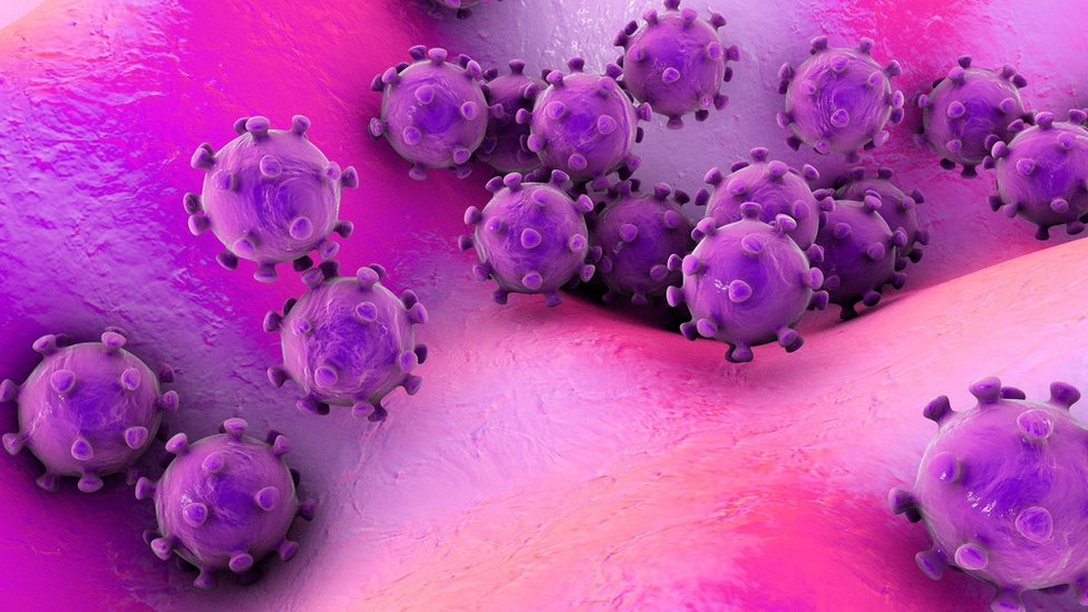 Korona virus i najčešća pitanja: Sve što ste hteli da znate o Kovidu-19 20 Viruses