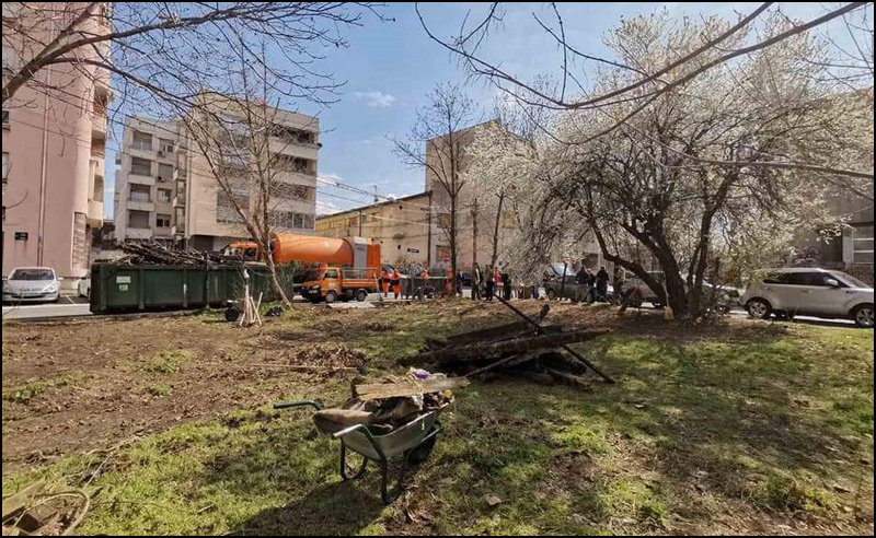 dorcol 2