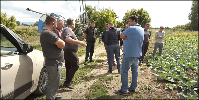 polje