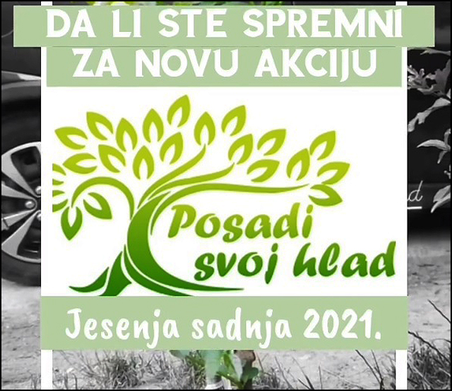 posadi svoj hlad jesen