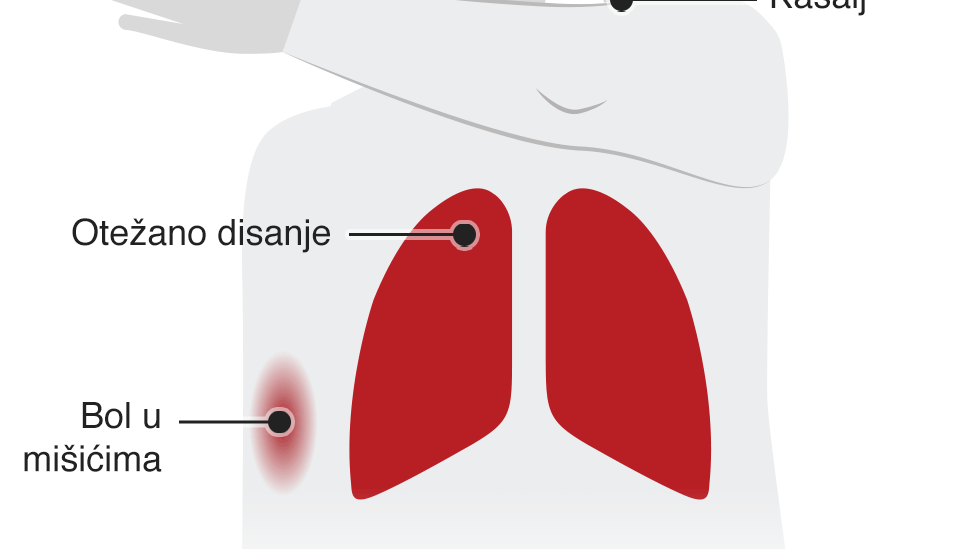 Korona virus: Još jedna trudnica preminula u Srbiji, vakcinisani treba da nastave da nose maske - studija u Americi 2 grafika