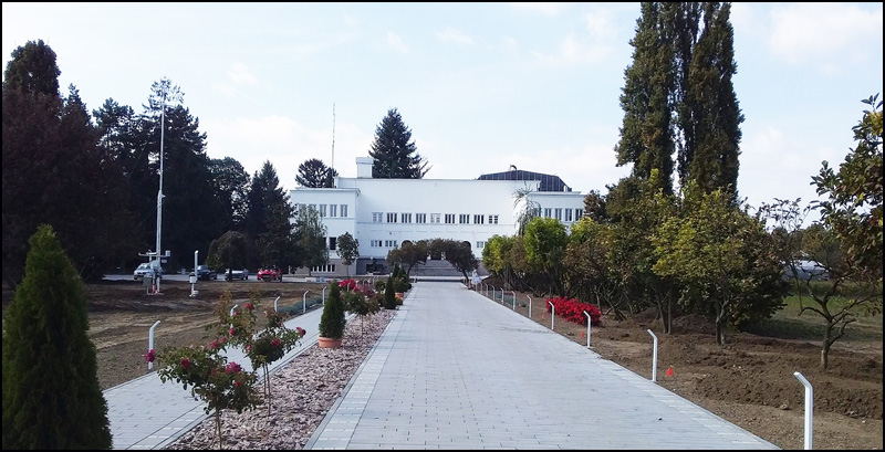 Institut Foto Ljubica Sokic