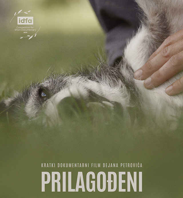 Prilagodjeni Plakat filma