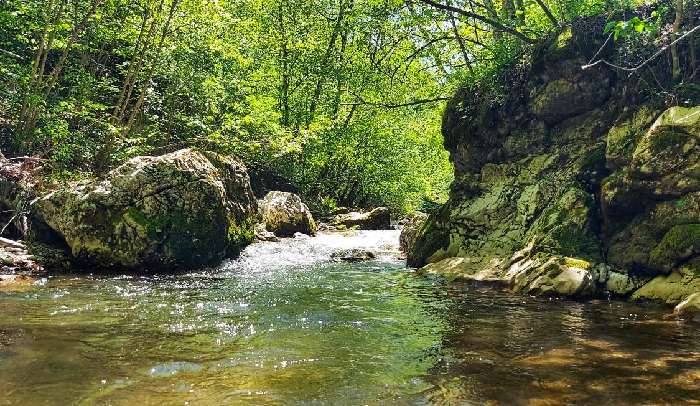 Zaustavljena i poslednja MHE na Velikom Rzavu 1 foto Veliki Rzav Natasa Milivojevic
