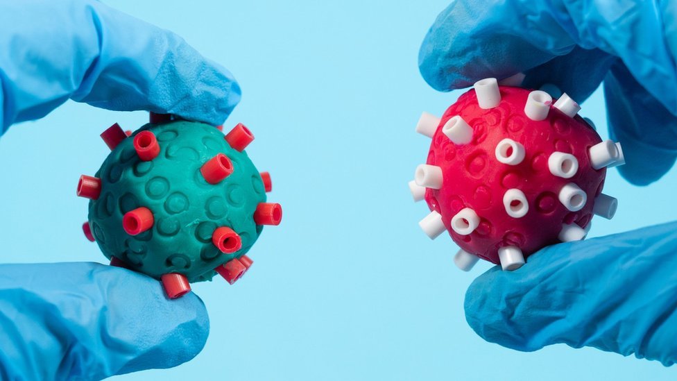 Korona virus: Ljudi prirodno otporni na kovid ključ za novu taktiku vakcinacije 2 Viruses