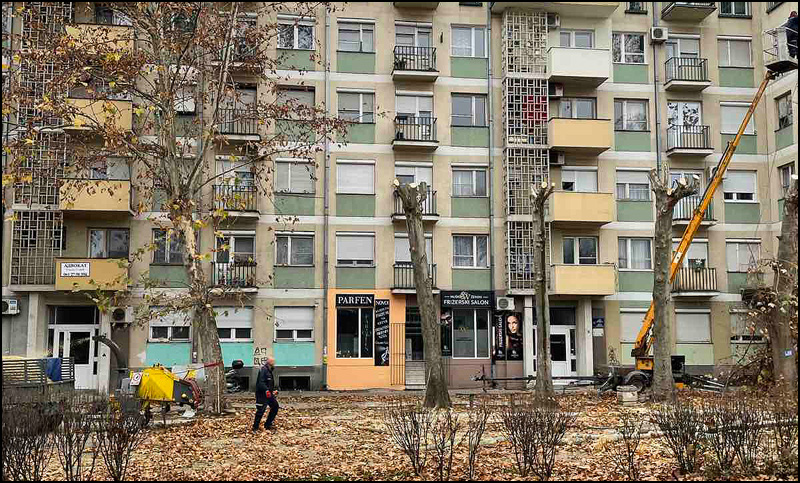 drvece orezivanje