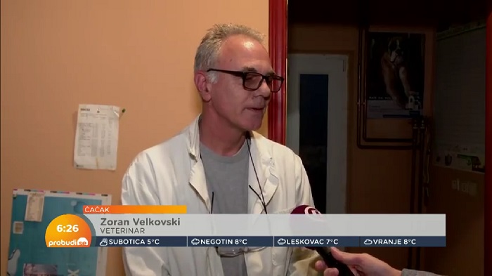 zoran velkovski