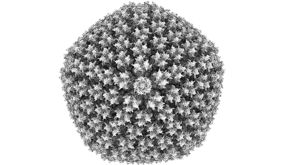 Korona virus i AstraZeneka: Naučnici utvrdili zašto nastaju retki ugrušci od vakcine 2 Detailed image of Coronavirus