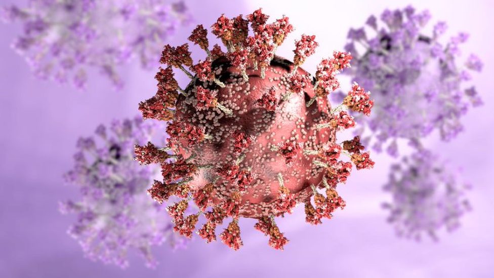 Korona virus i nauka: Odakle potiče omikron soj i kako je nastao 1 An illustration of a coronavirus
