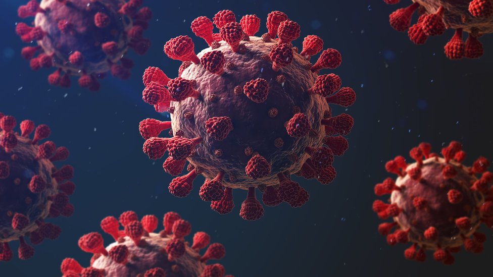 Korona virus i omikron soj: Koliko je dugo zarazan neko sa kovidom 6 Coronavirus