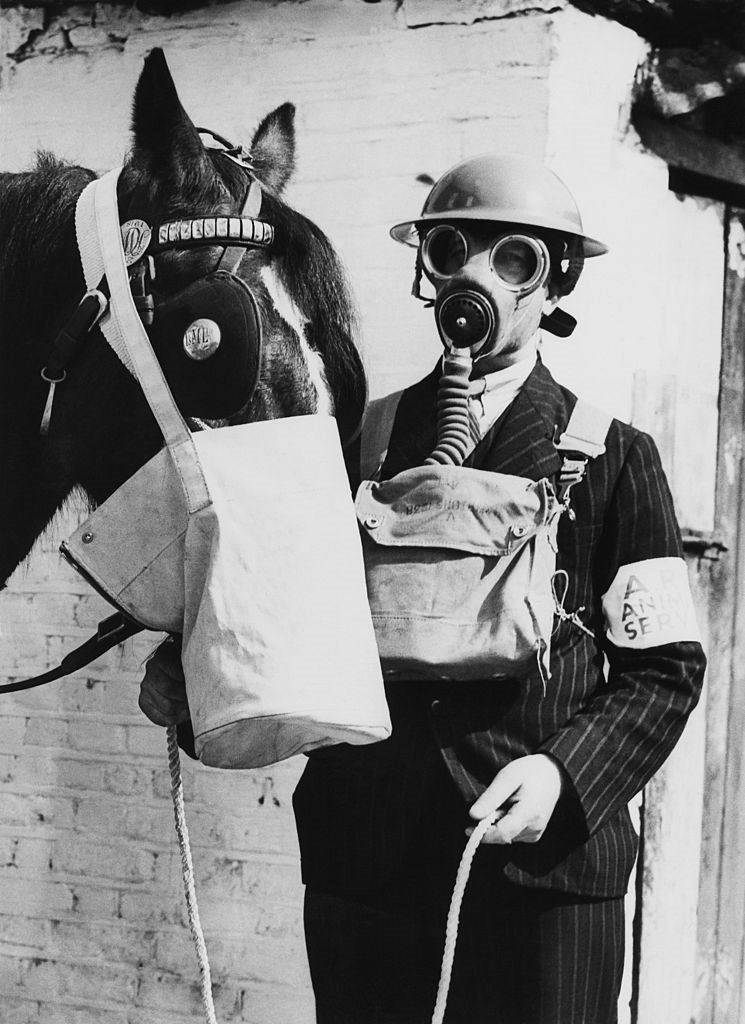A horse with a gas mask
