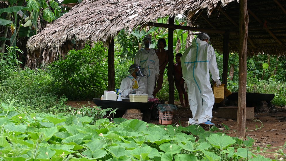 Brazil, Amazonija i Kovid: Pet dana nosio oca na leđima kroz šumu - da bi primio vakcinu 2 Vaccination hut